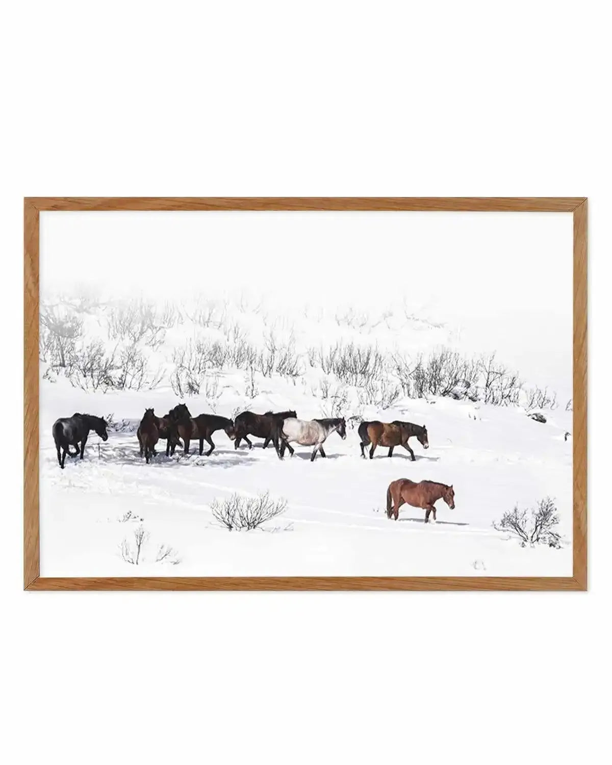 Snowy Mountains Brumbies I Art Print from Olive et Oriel where you can shop wallpaper and artworks online