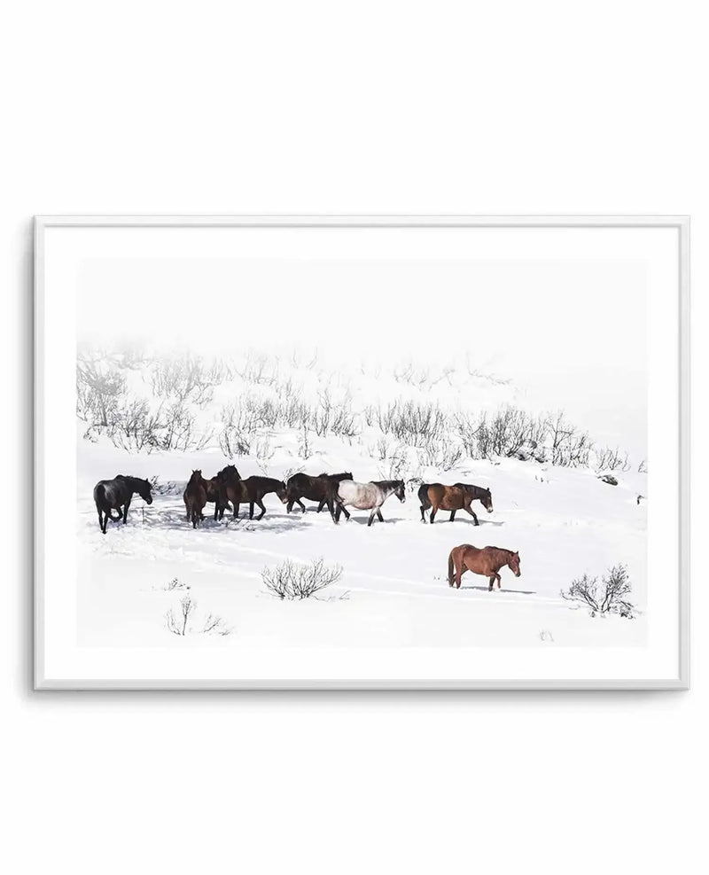 Framed photograph of wild horses in a snowy landscape, with a white frame and white border. The composition features a herd of dark brown and black horses walking through deep white snow, with sparse, dark winter bushes visible in the background and foreground. The sky is a bright, hazy white, creating a stark, high-contrast scene.