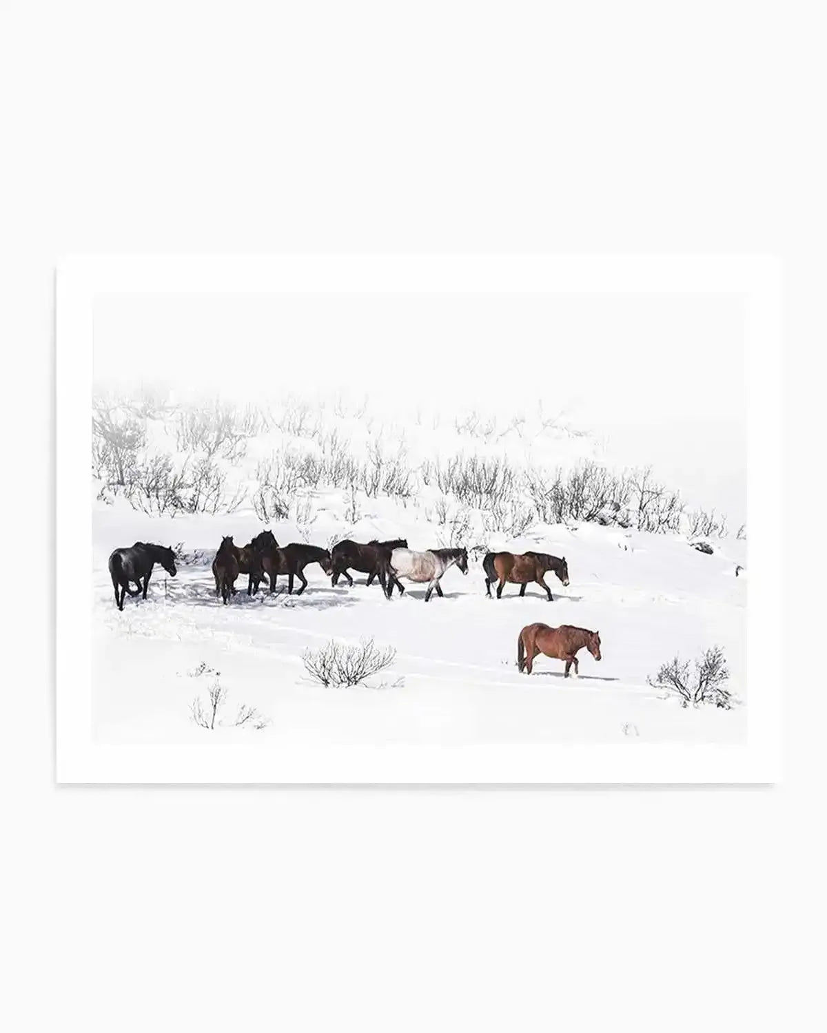 Snowy Mountains Brumbies I Art Print from Olive et Oriel where you can shop wallpaper and artworks online