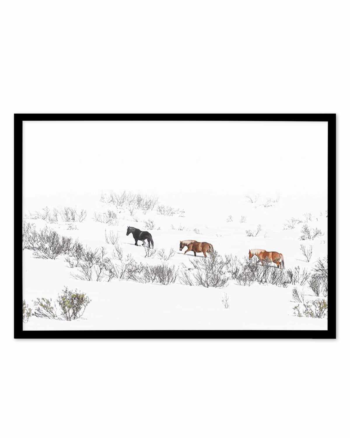 Snowy Mountains Brumbies II Art Print