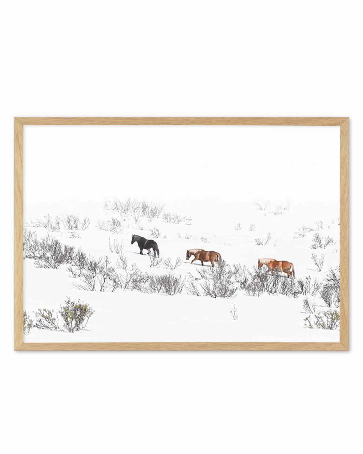 Snowy Mountains Brumbies II Art Print