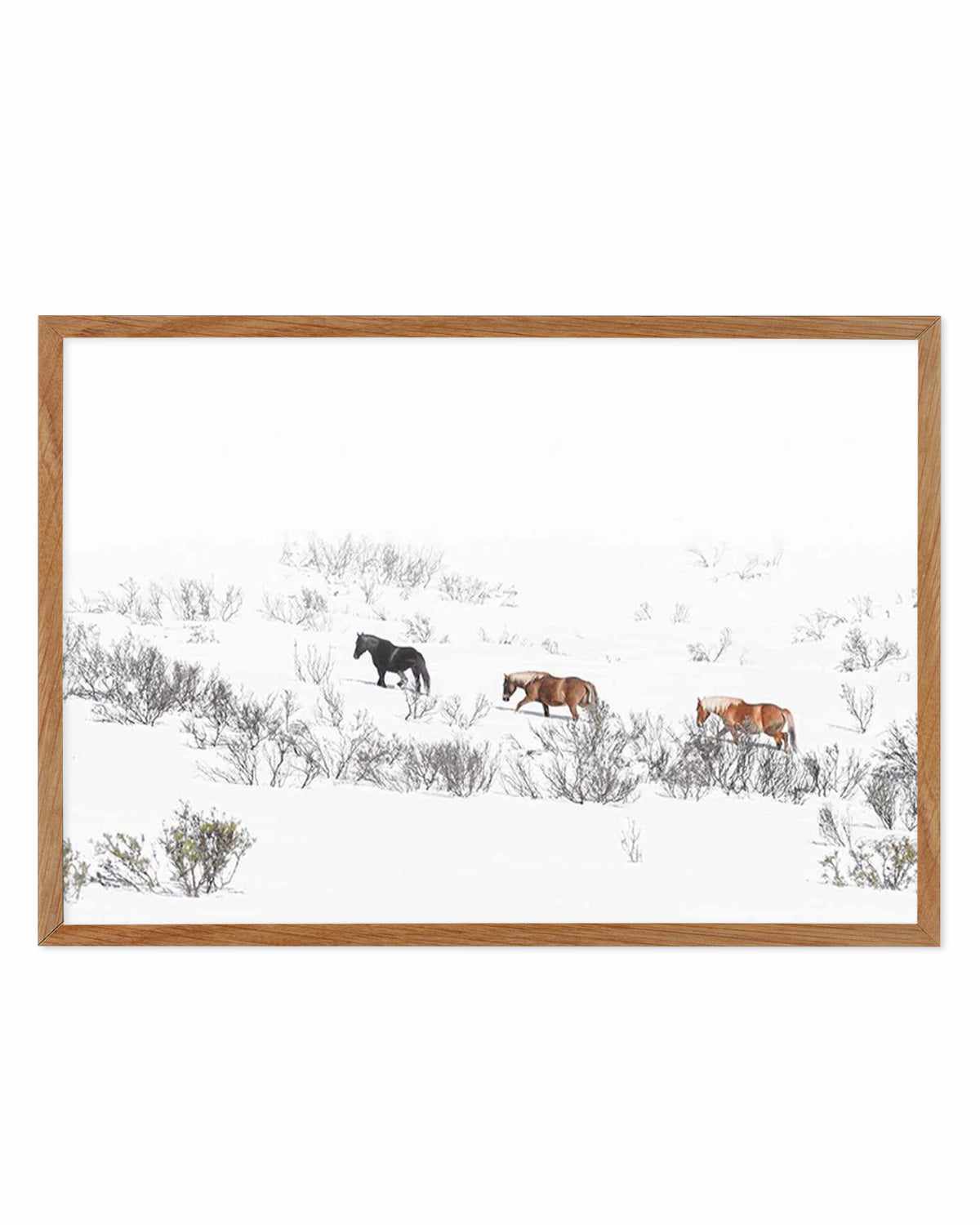 Snowy Mountains Brumbies II Art Print