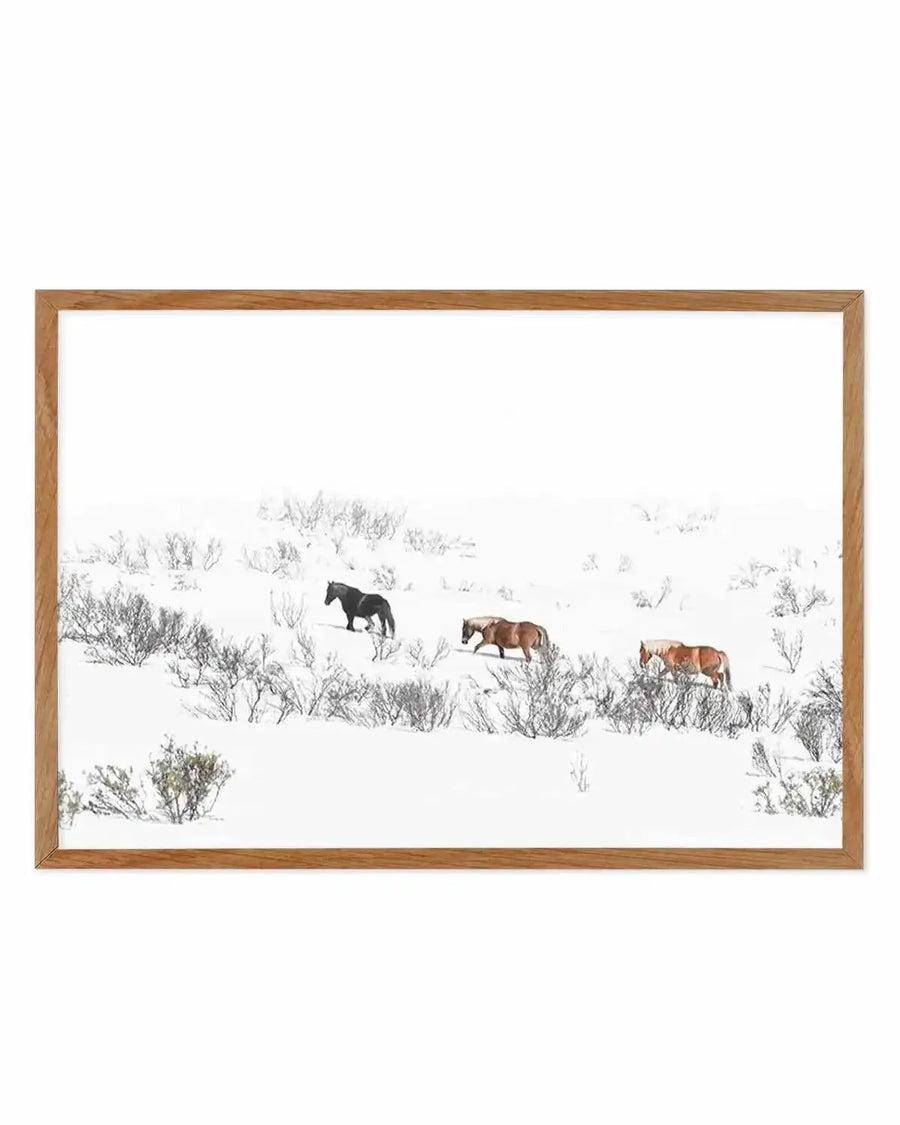 Framed photography art print featuring three wild horses walking through a snowy landscape with sparse brush. The horses, one black, one light brown, and one reddish-brown, are seen from the side, moving from left to right across the frame. The scene is predominantly white with subtle textures from the snow and dark, bare branches of the bushes, displayed in a natural oak frame with white border.