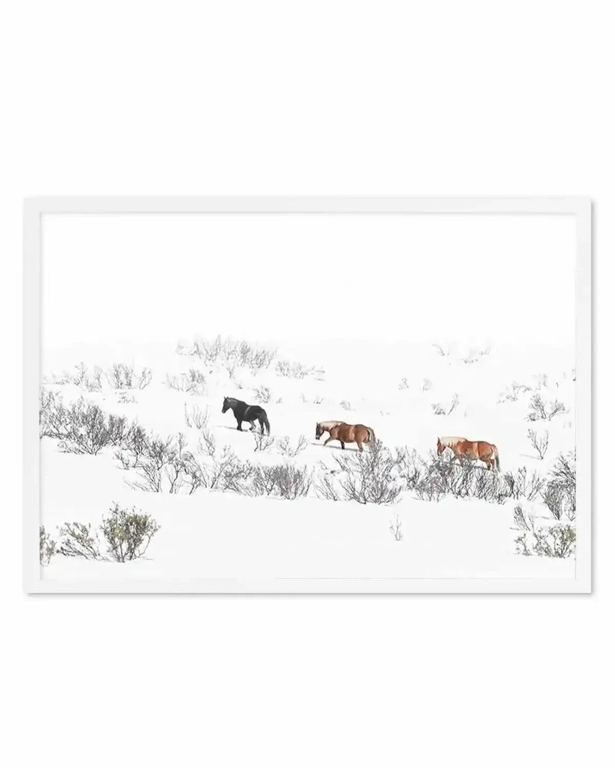 Snowy Mountains Brumbies II Art Print from Olive et Oriel where you can shop wallpaper and artworks online