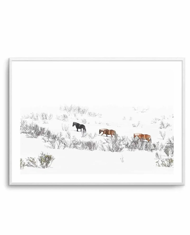 Framed photography art print of three horses walking through a snowy landscape with a white frame and white border. The composition features a black horse on the left, followed by two brown horses with lighter manes and tails, all moving through snow-covered sagebrush and sparse winter foliage under a bright white sky.