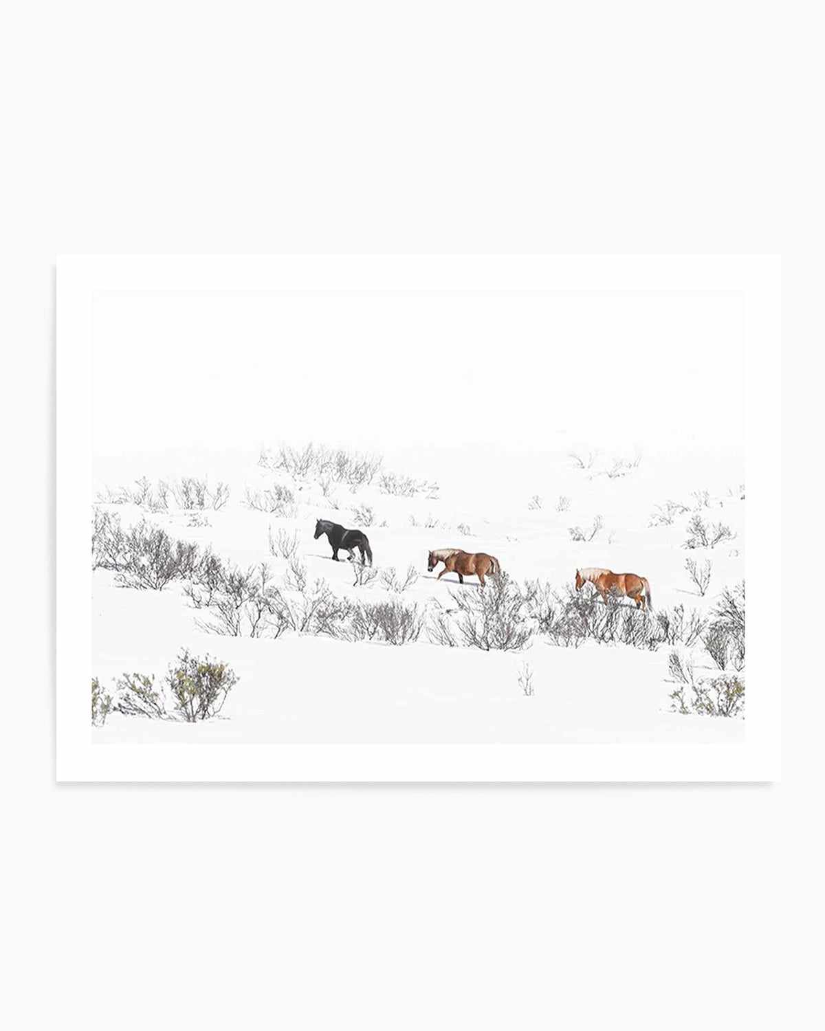 Snowy Mountains Brumbies II Art Print