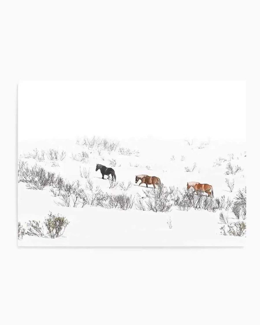 "Photography art print featuring three wild horses walking through a snow-covered landscape with sparse, dark bushes. The horse on the left is dark brown, the middle horse is light brown, and the horse on the right is reddish-brown with a lighter mane and tail. The scene is predominantly white with subtle grey tones in the sky and shadows, conveying a serene winter mood."