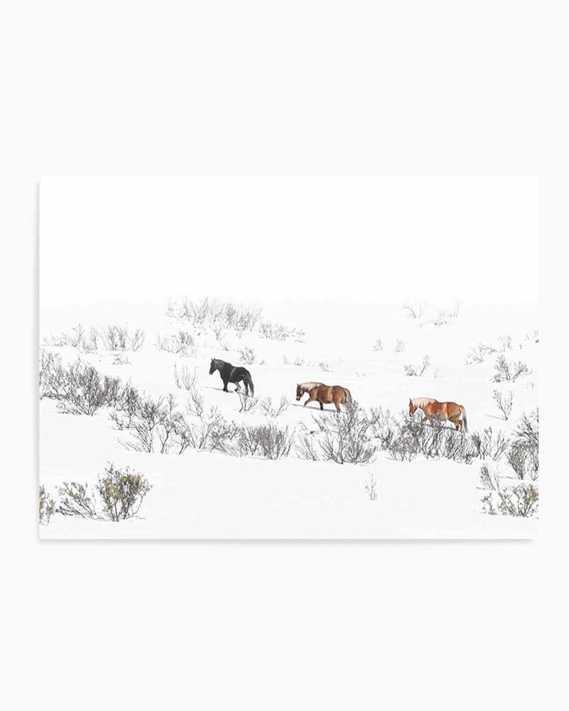 Snowy Mountains Brumbies II Art Print