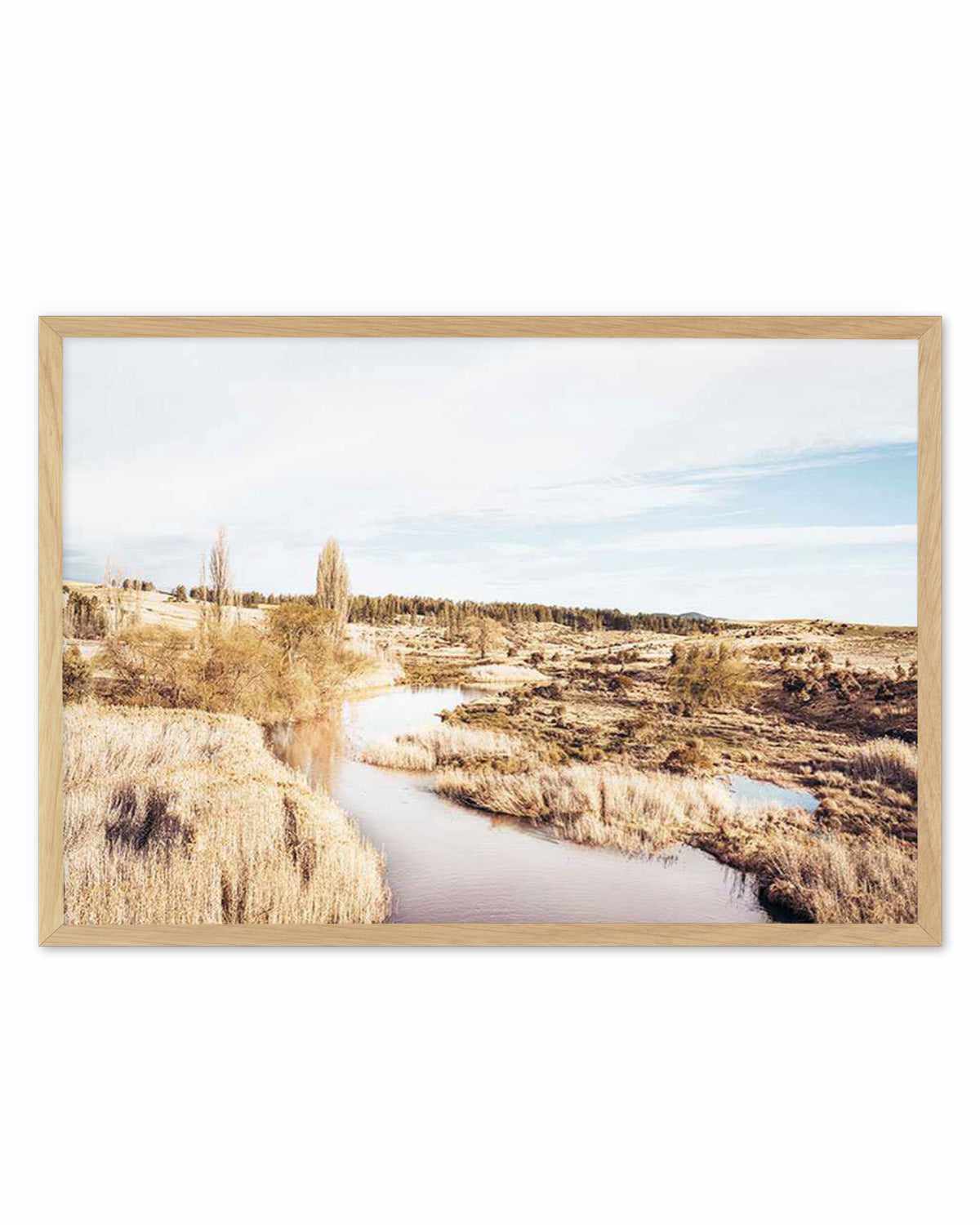 Snowy River II Art Print