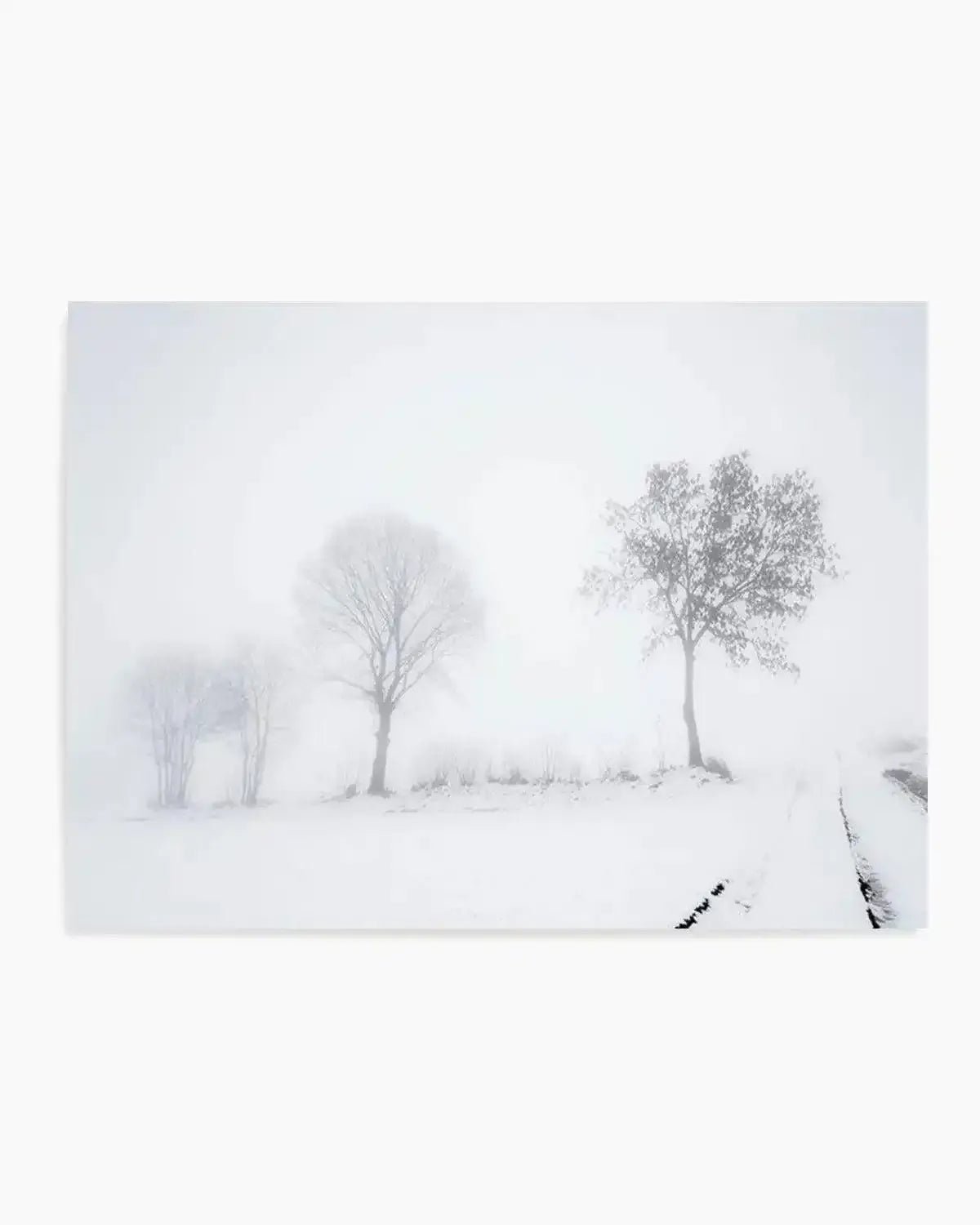 Snowy Roads | LS Art Print from Olive et Oriel where you can shop wallpaper and artworks online