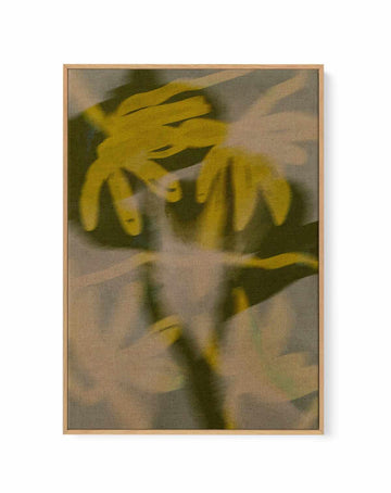 Soft Blossom 4 by Shatha Al Dafai | Framed Canvas Art Print from Olive et Oriel where you can shop wallpaper and artworks online