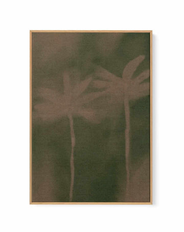 Soft Blossom 6 by Shatha Al Dafai | Framed Canvas Art Print from Olive et Oriel where you can shop wallpaper and artworks online