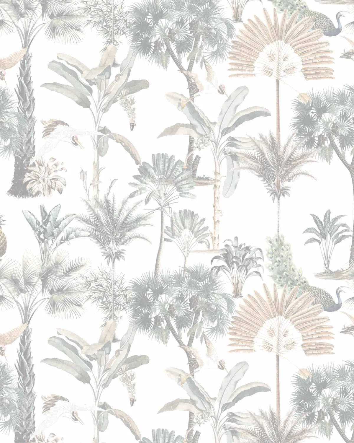 Soft Exotica Palms Wallpaper from Olive et Oriel where you can shop wallpaper and artworks online