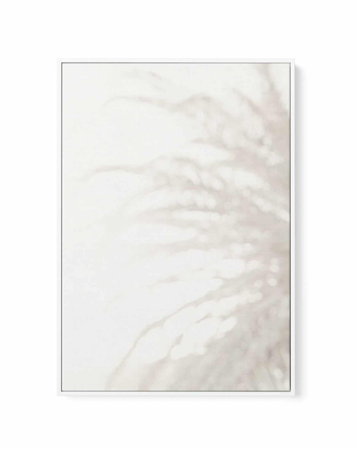 Soft Pampas Light | Framed Canvas Art Print