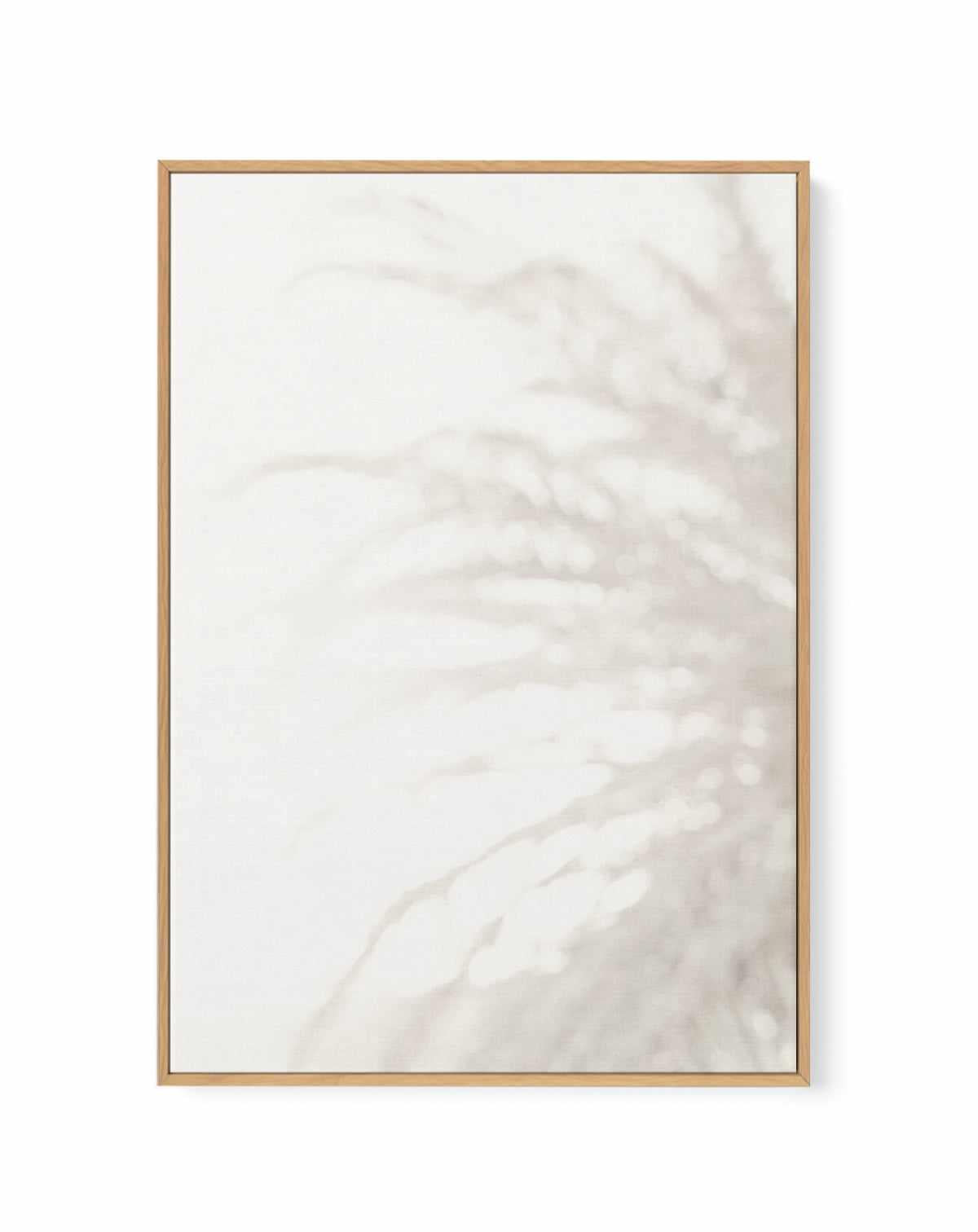 Soft Pampas Light | Framed Canvas Art Print