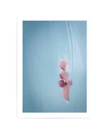 Solitude 1 By Craig Stampfli | Art Print from Olive et Oriel where you can shop wallpaper and artworks online