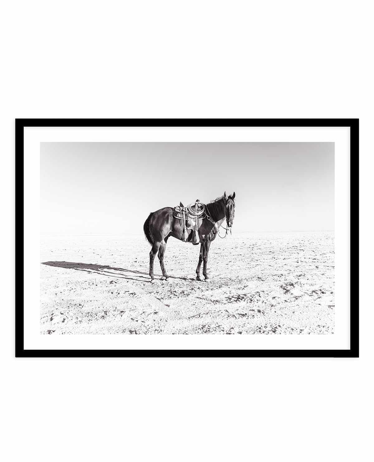 Solo Stang by Rylee Olsen | Art Print from Olive et Oriel where you can shop wallpaper and artworks online