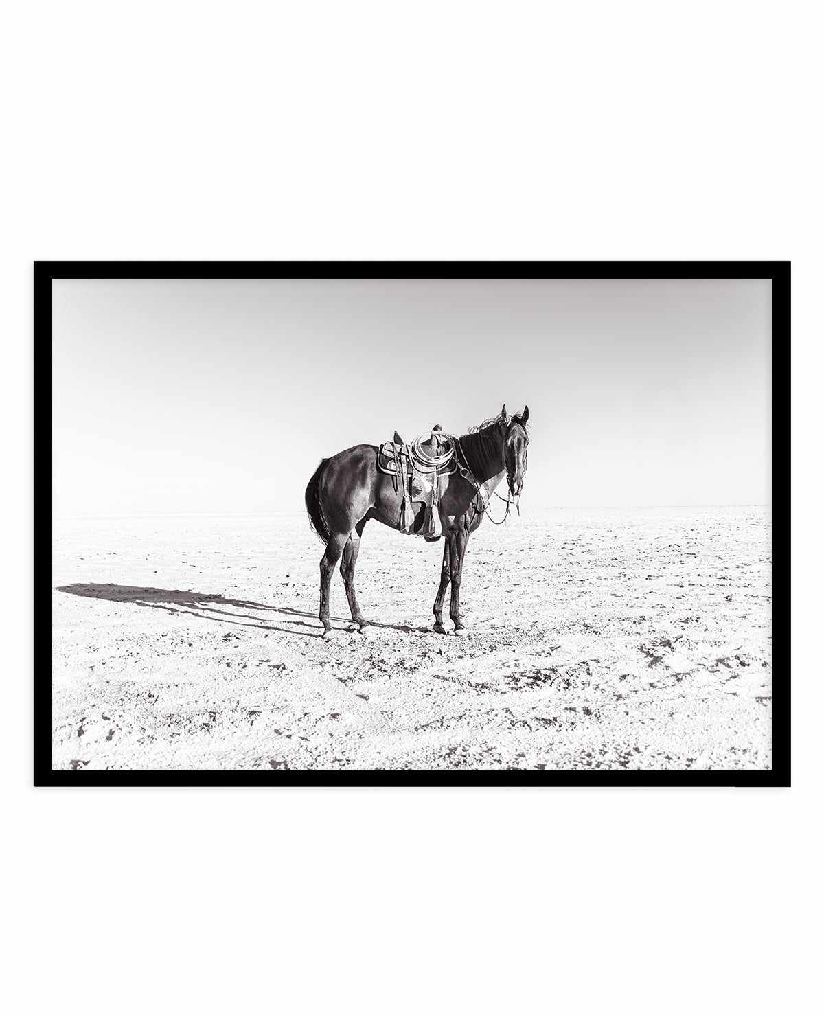 Solo Stang by Rylee Olsen | Art Print from Olive et Oriel where you can shop wallpaper and artworks online