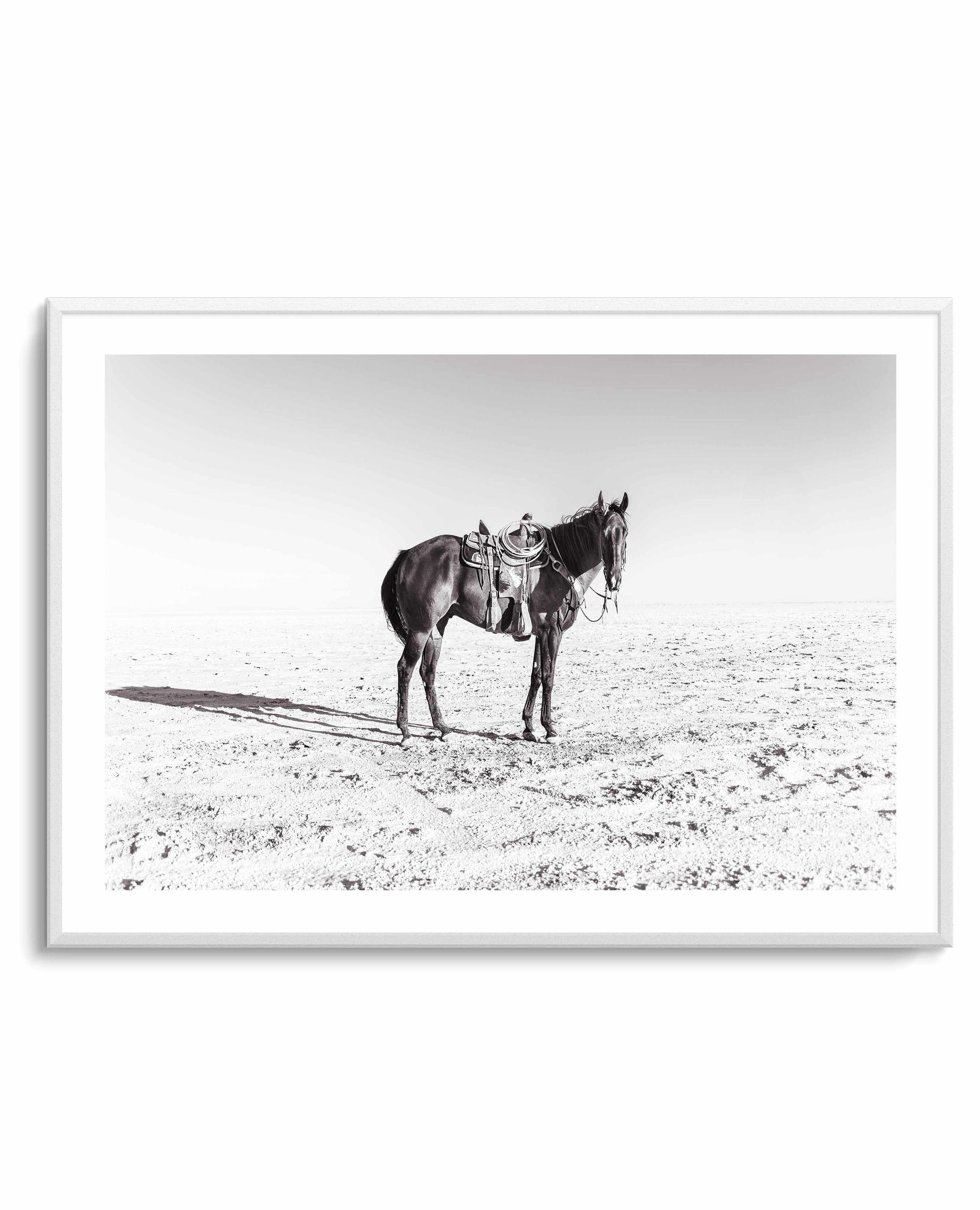 Solo Stang by Rylee Olsen | Art Print from Olive et Oriel where you can shop wallpaper and artworks online