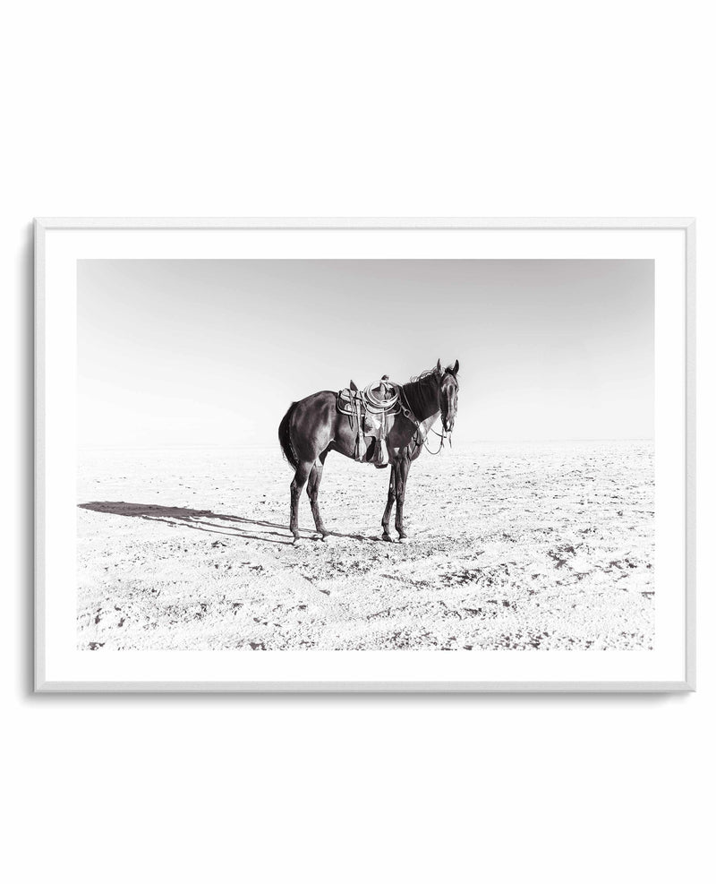 Solo Stang by Rylee Olsen | Art Print from Olive et Oriel where you can shop wallpaper and artworks online