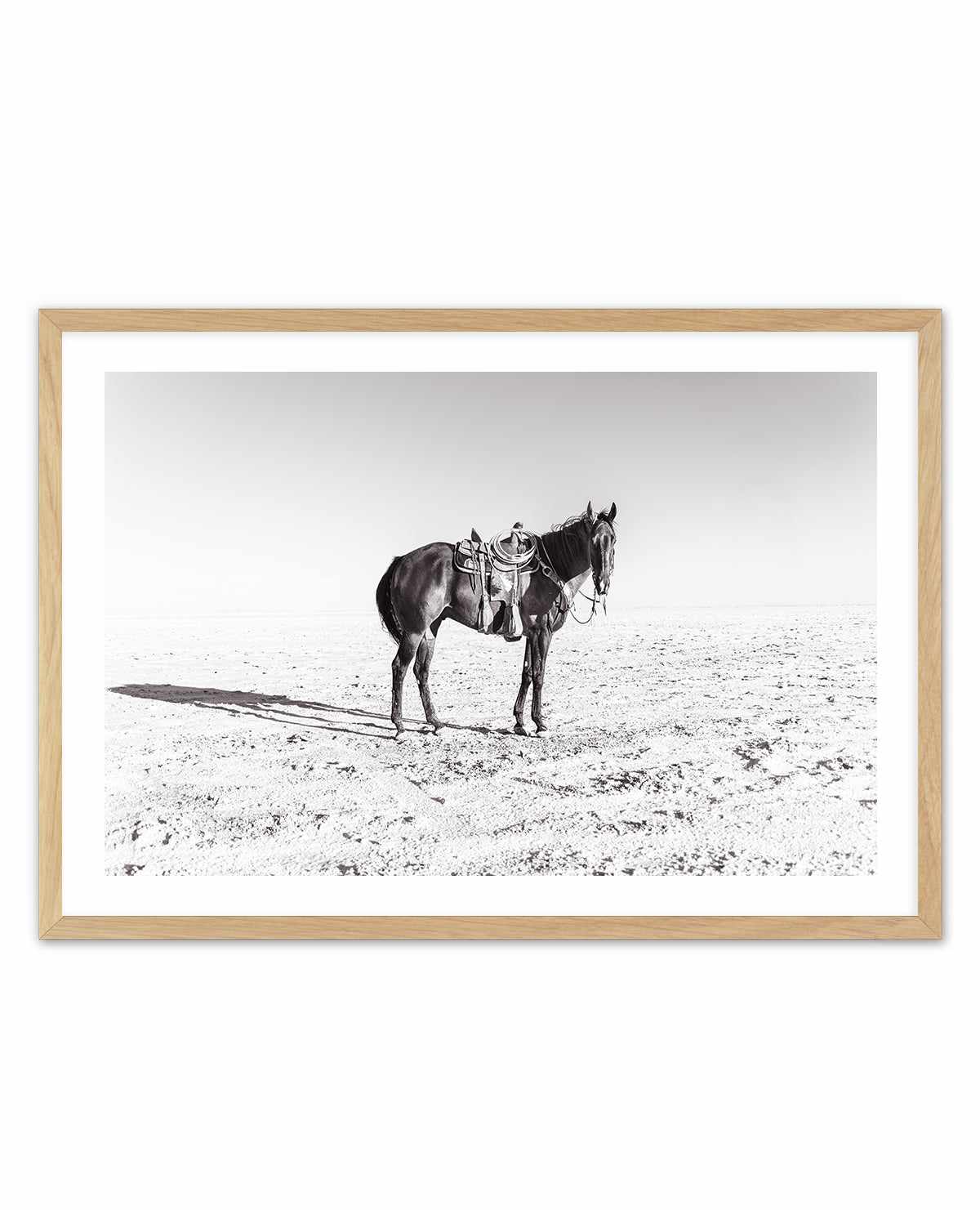 Solo Stang by Rylee Olsen | Art Print from Olive et Oriel where you can shop wallpaper and artworks online