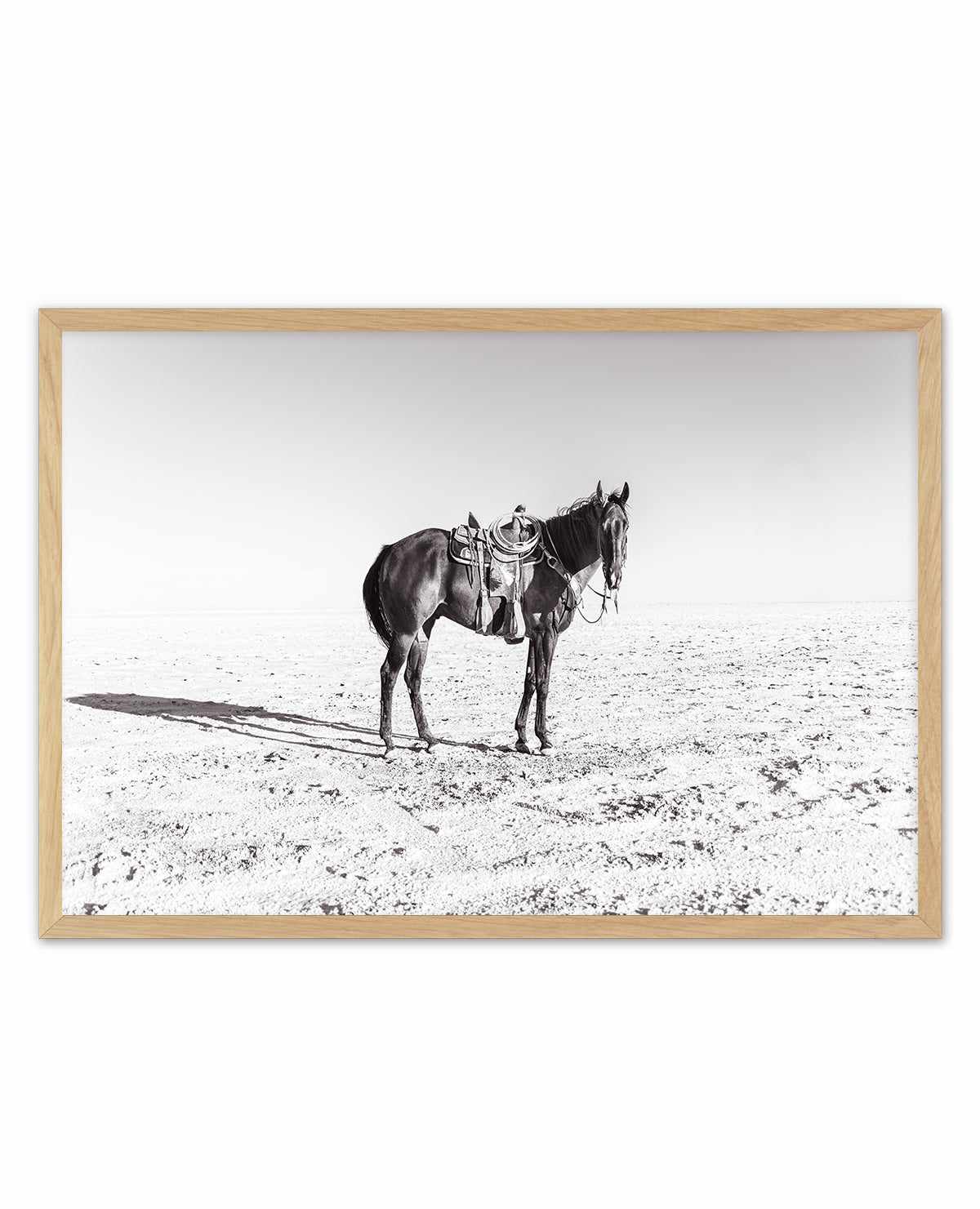 Solo Stang by Rylee Olsen | Art Print from Olive et Oriel where you can shop wallpaper and artworks online