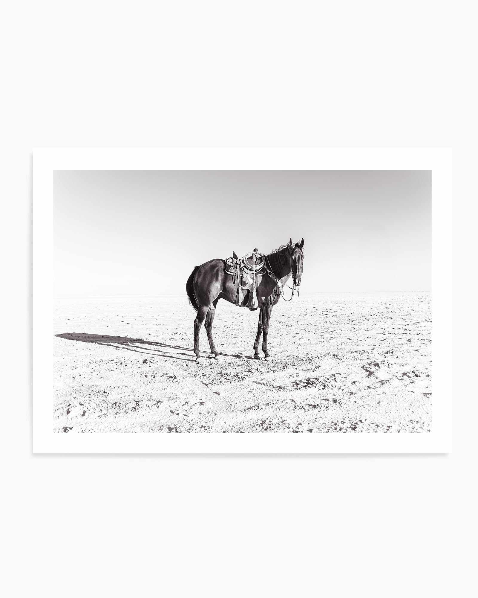 Solo Stang by Rylee Olsen | Art Print from Olive et Oriel where you can shop wallpaper and artworks online