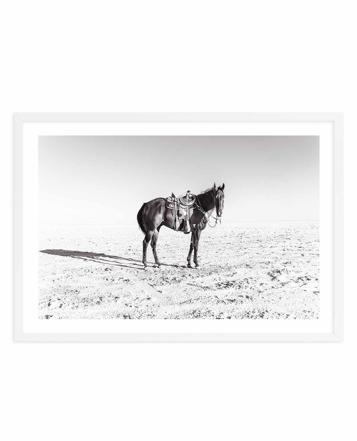 Solo Stang by Rylee Olsen | Art Print from Olive et Oriel where you can shop wallpaper and artworks online