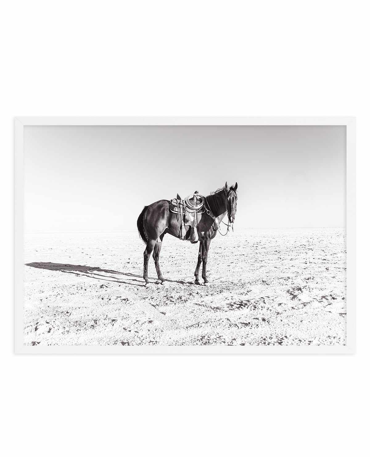 Solo Stang by Rylee Olsen | Art Print from Olive et Oriel where you can shop wallpaper and artworks online