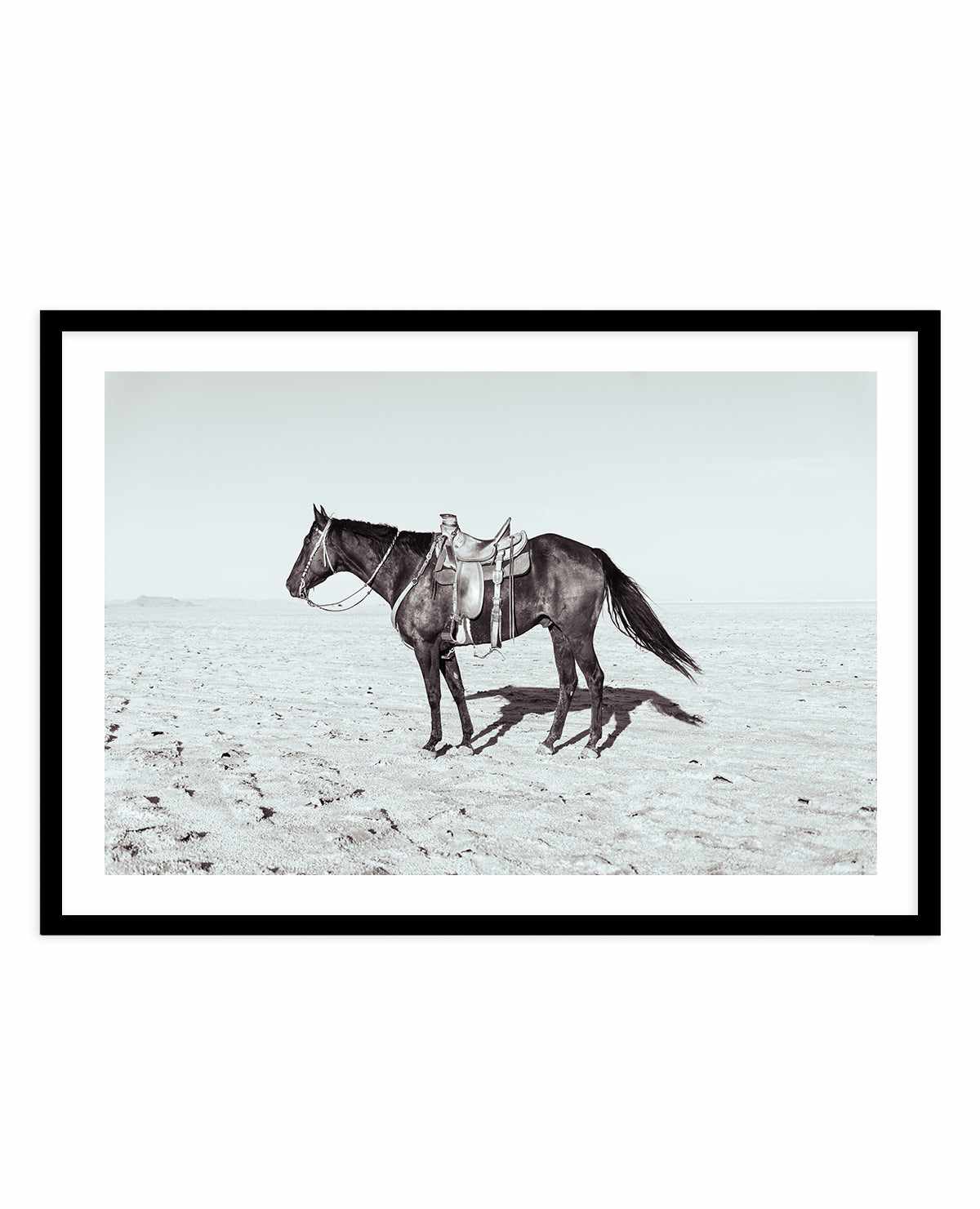 Solo Stang II by Rylee Olsen | Art Print from Olive et Oriel where you can shop wallpaper and artworks online