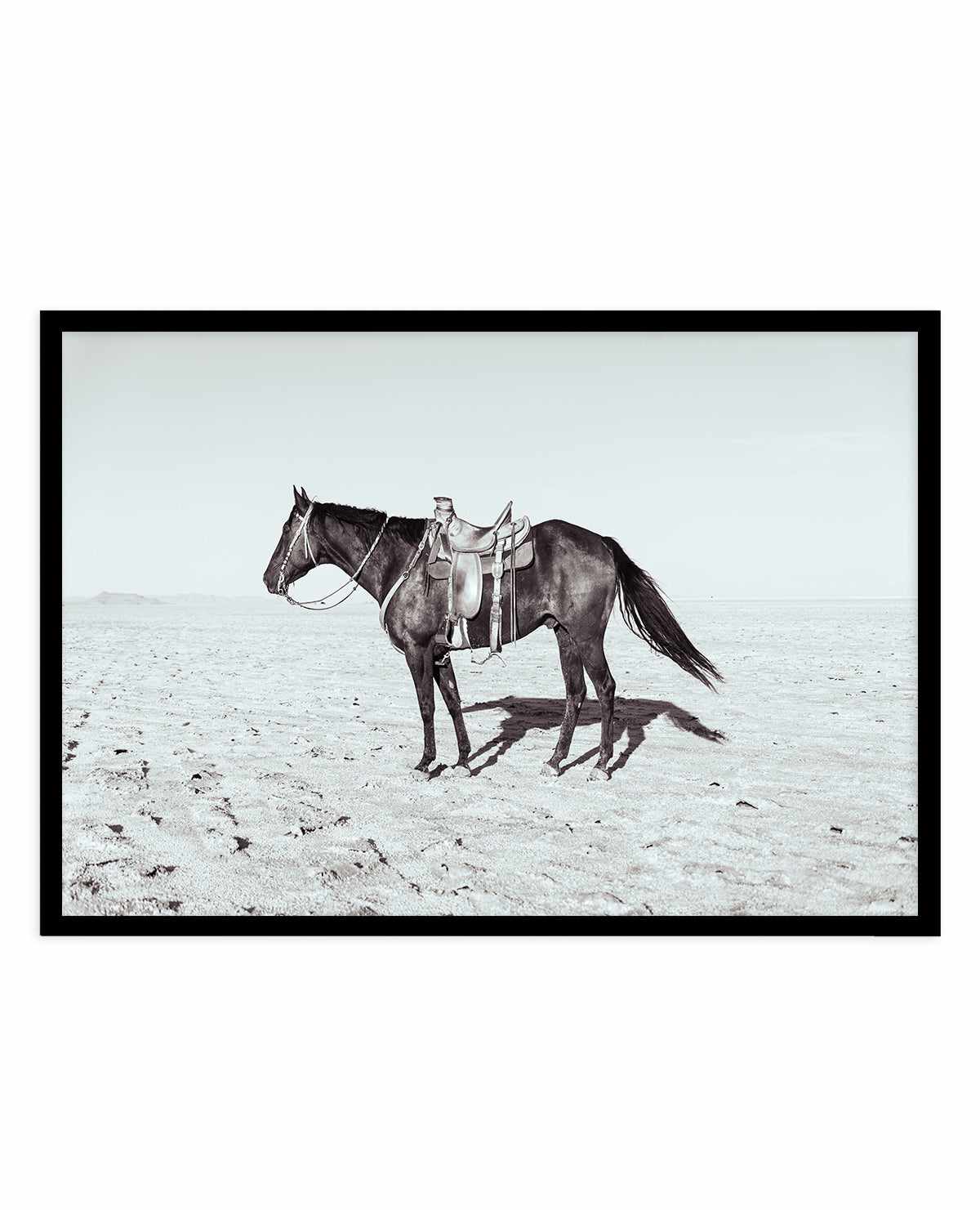 Solo Stang II by Rylee Olsen | Art Print from Olive et Oriel where you can shop wallpaper and artworks online