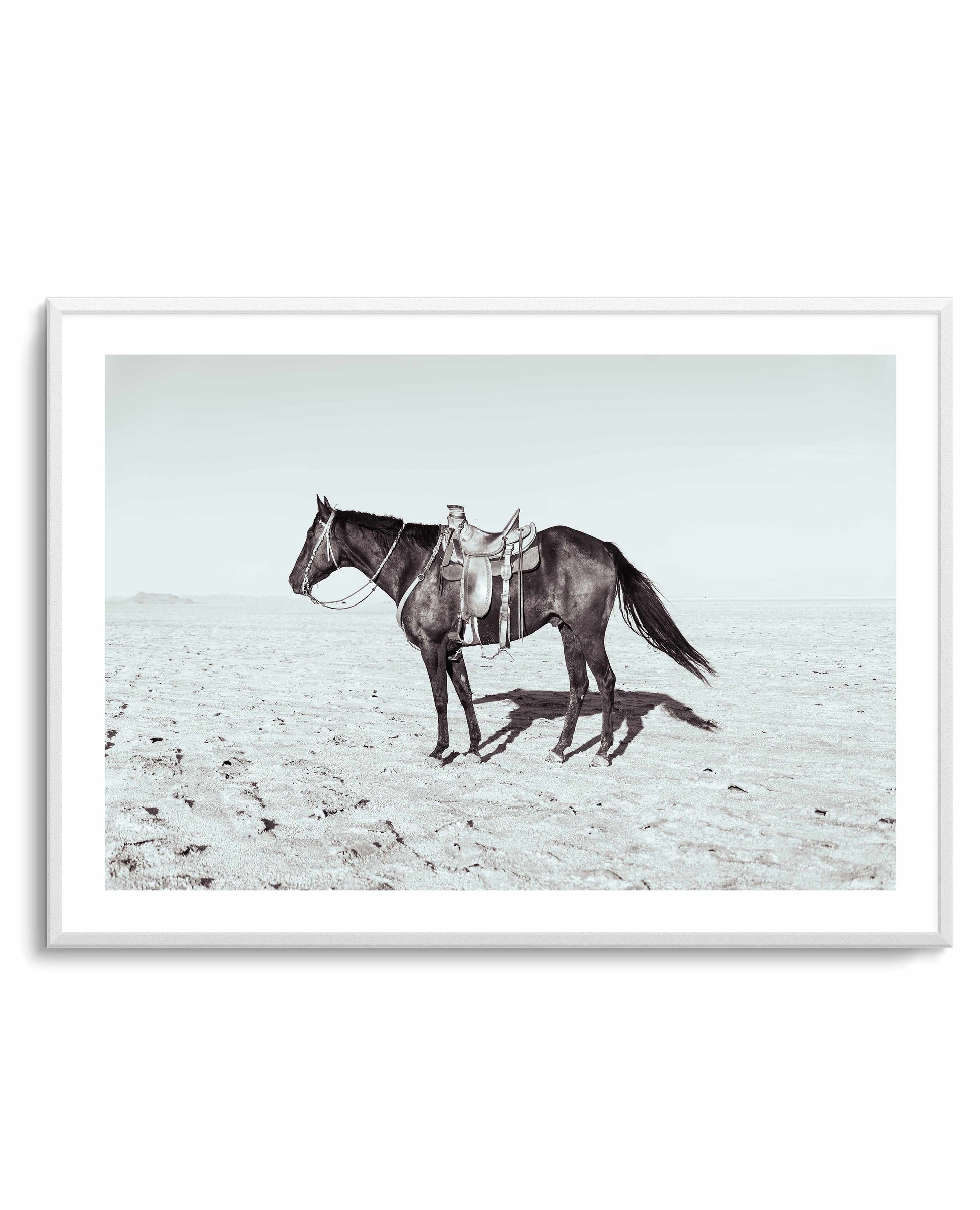 Solo Stang II by Rylee Olsen | Art Print from Olive et Oriel where you can shop wallpaper and artworks online