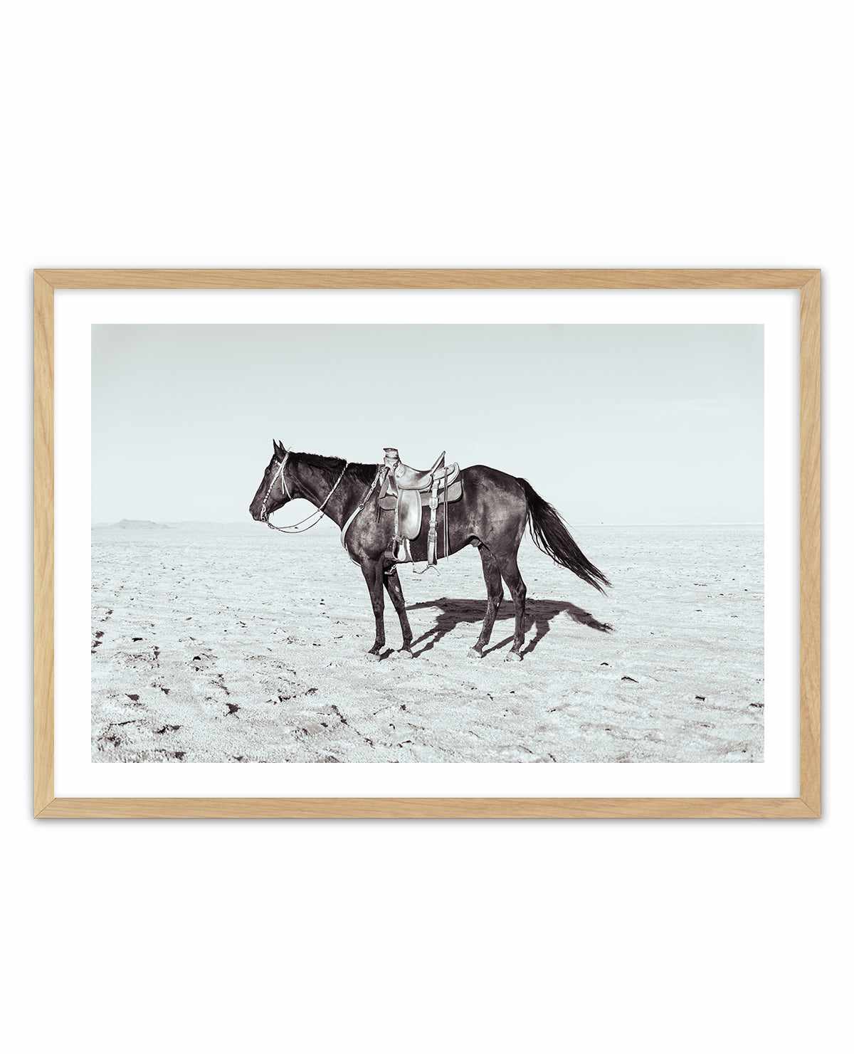 Solo Stang II by Rylee Olsen | Art Print from Olive et Oriel where you can shop wallpaper and artworks online