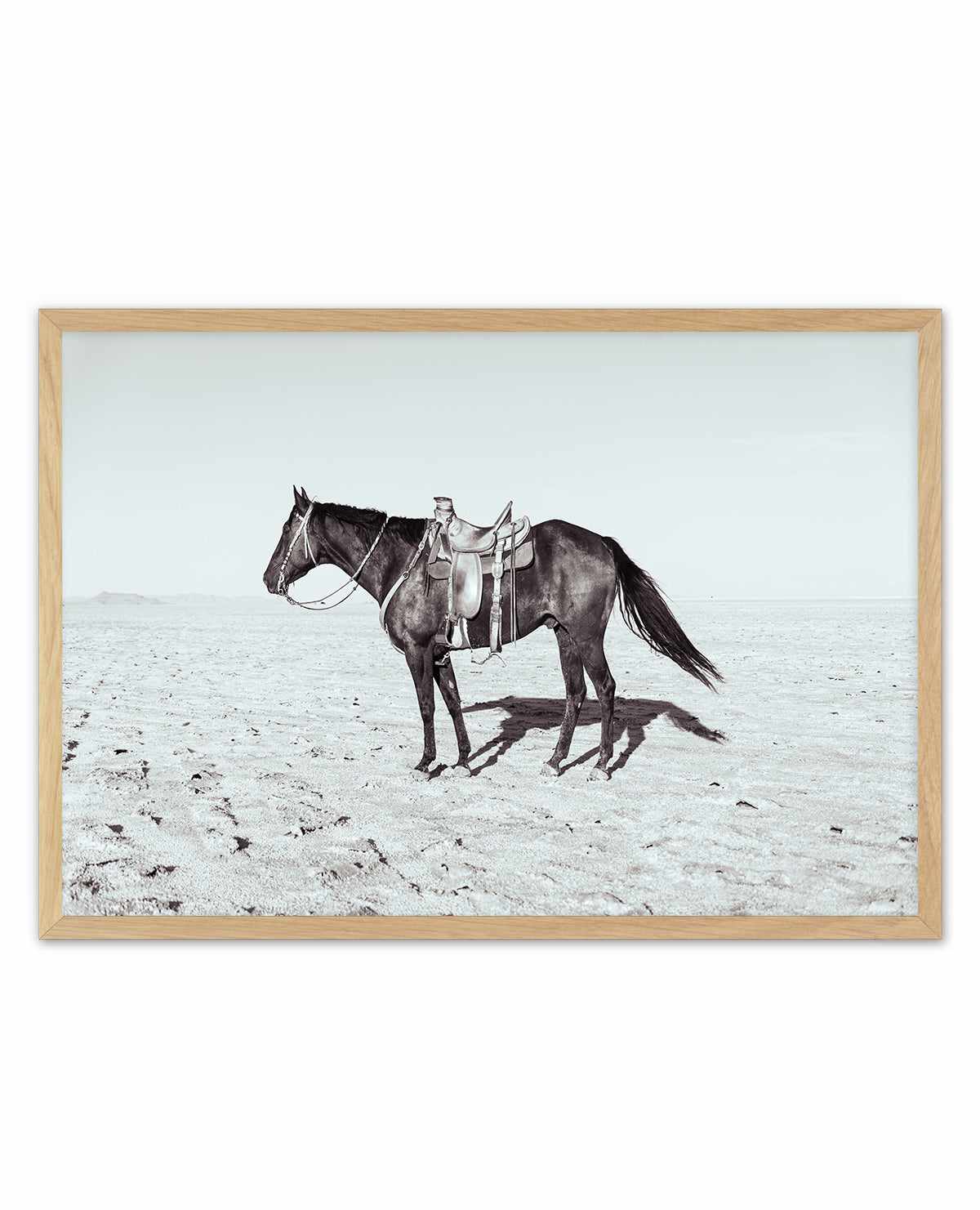 Solo Stang II by Rylee Olsen | Art Print from Olive et Oriel where you can shop wallpaper and artworks online