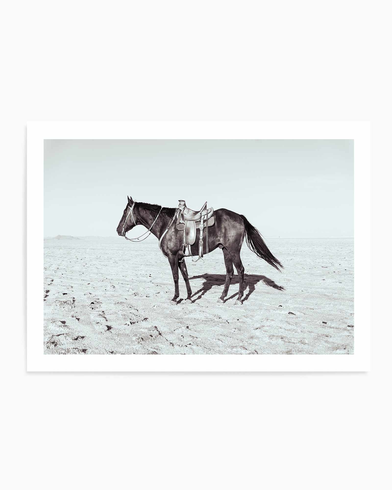 Solo Stang II by Rylee Olsen | Art Print from Olive et Oriel where you can shop wallpaper and artworks online