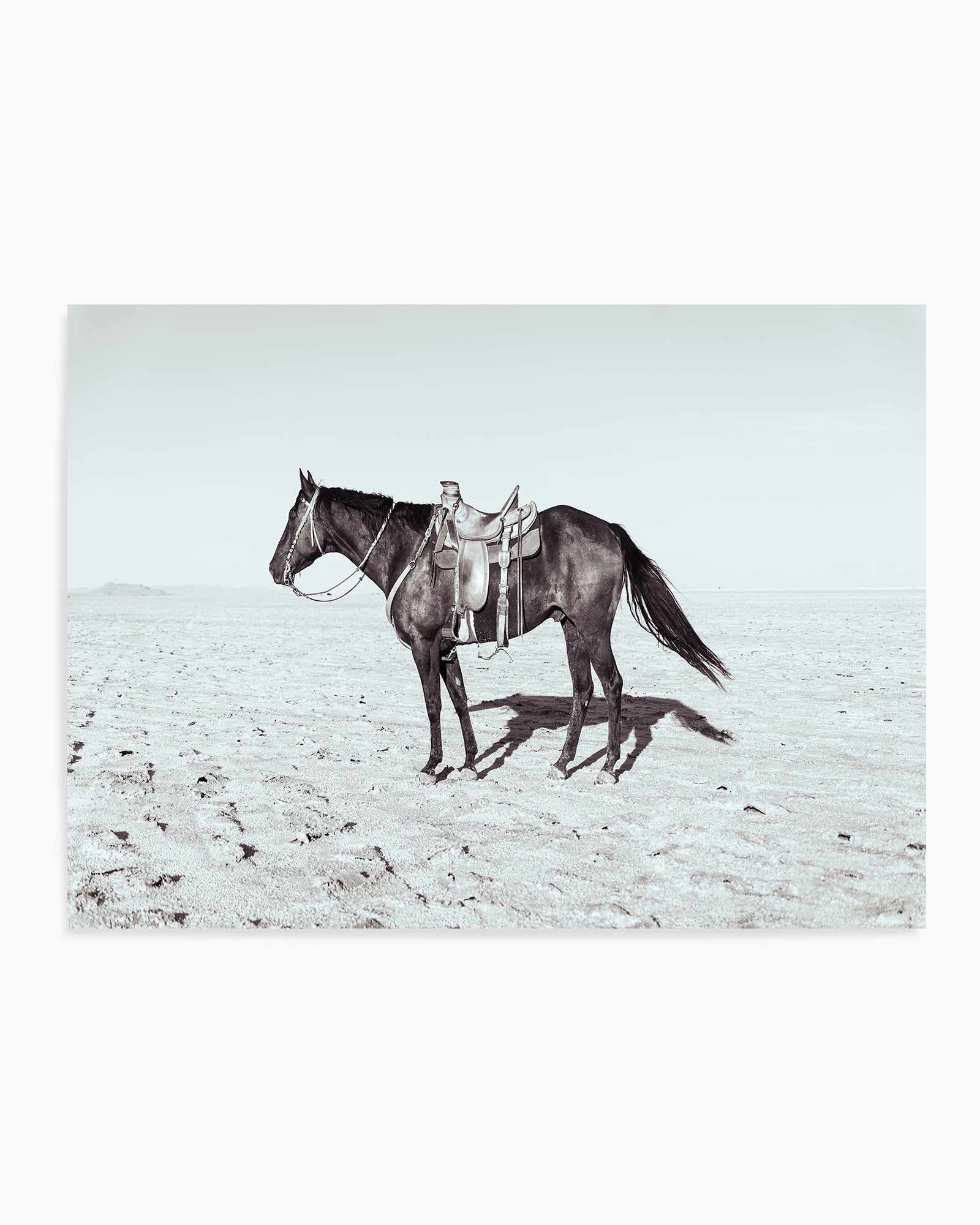 Solo Stang II by Rylee Olsen | Art Print from Olive et Oriel where you can shop wallpaper and artworks online