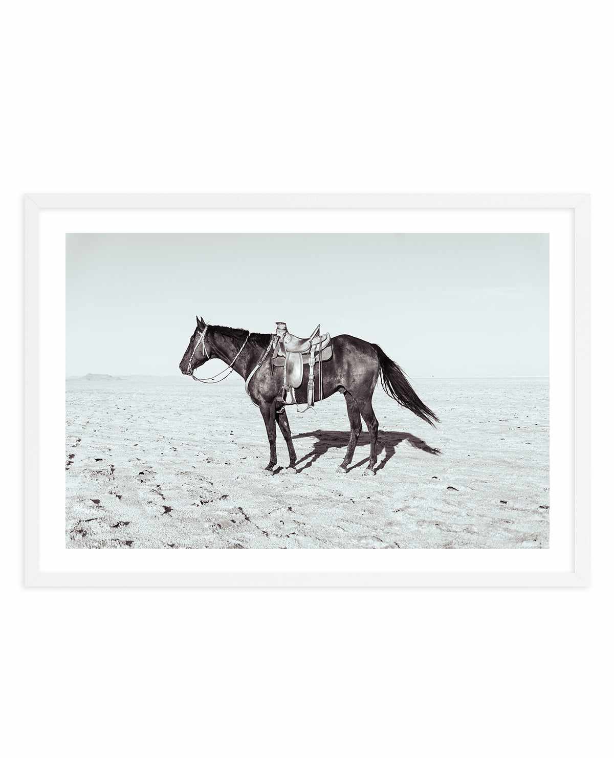 Solo Stang II by Rylee Olsen | Art Print from Olive et Oriel where you can shop wallpaper and artworks online