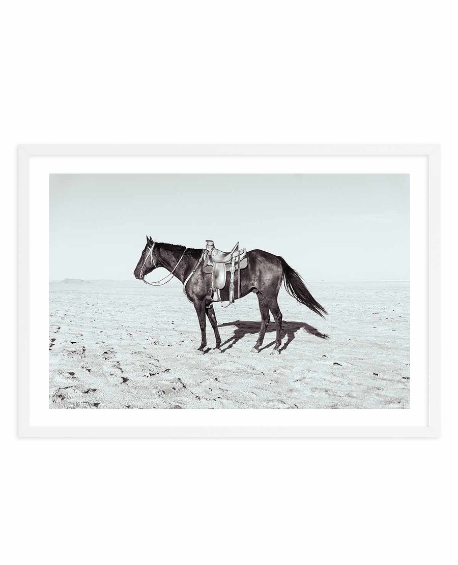 Solo Stang II by Rylee Olsen | Art Print from Olive et Oriel where you can shop wallpaper and artworks online