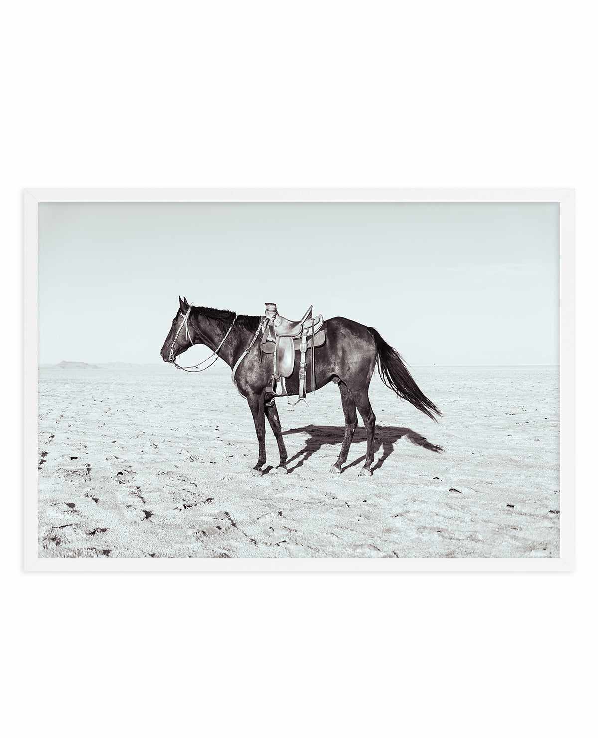 Solo Stang II by Rylee Olsen | Art Print from Olive et Oriel where you can shop wallpaper and artworks online