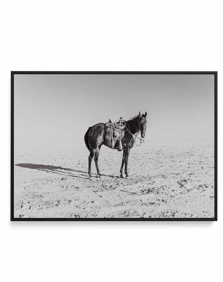 Solo Stang by Rylee Olsen | Framed Canvas Art Print from Olive et Oriel where you can shop wallpaper and artworks online