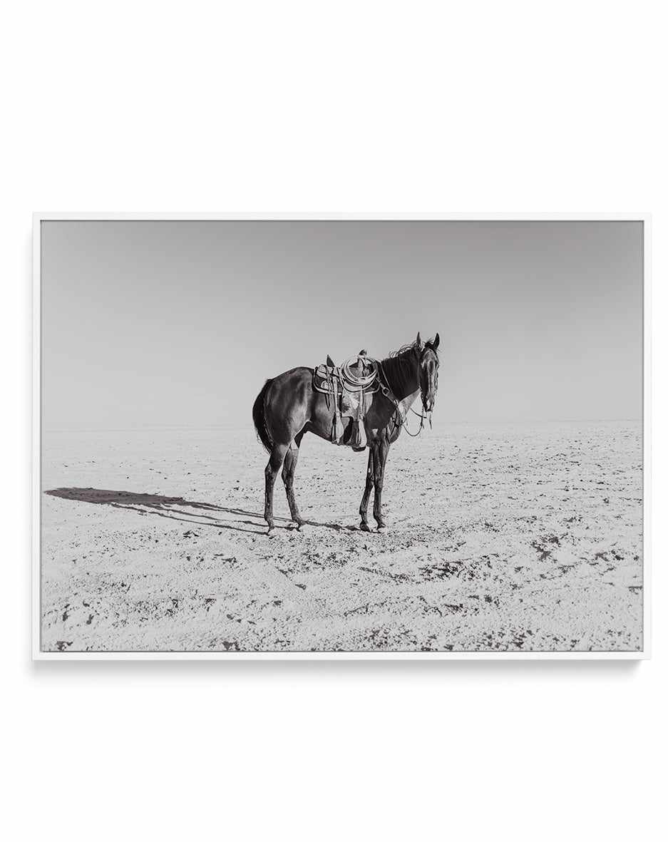 Solo Stang by Rylee Olsen | Framed Canvas Art Print from Olive et Oriel where you can shop wallpaper and artworks online
