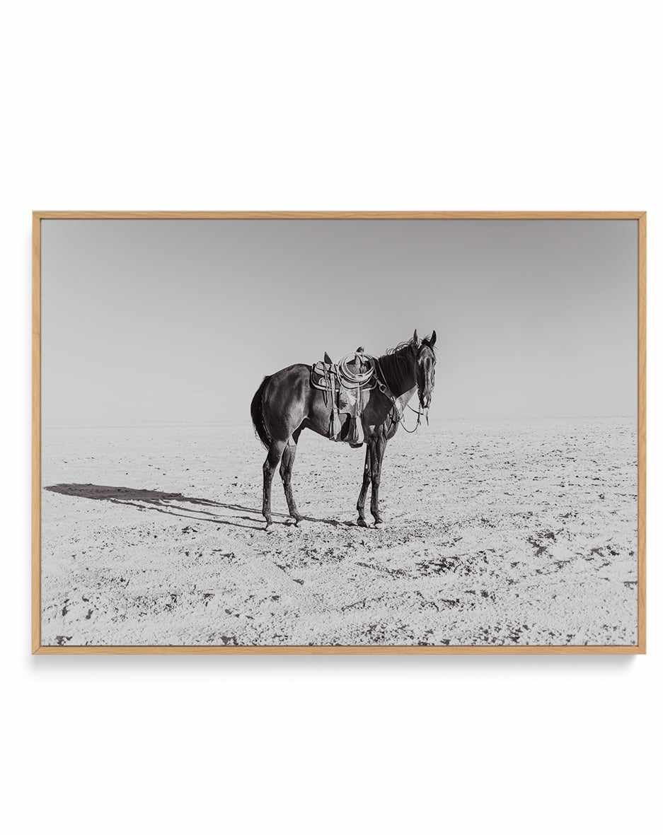 Solo Stang by Rylee Olsen | Framed Canvas Art Print from Olive et Oriel where you can shop wallpaper and artworks online