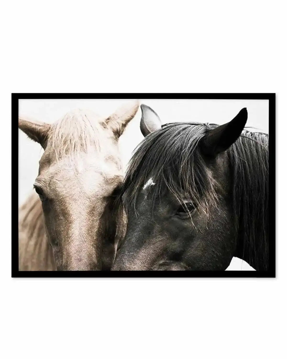 Soulmates | Horses Art Print from Olive et Oriel where you can shop wallpaper and artworks online