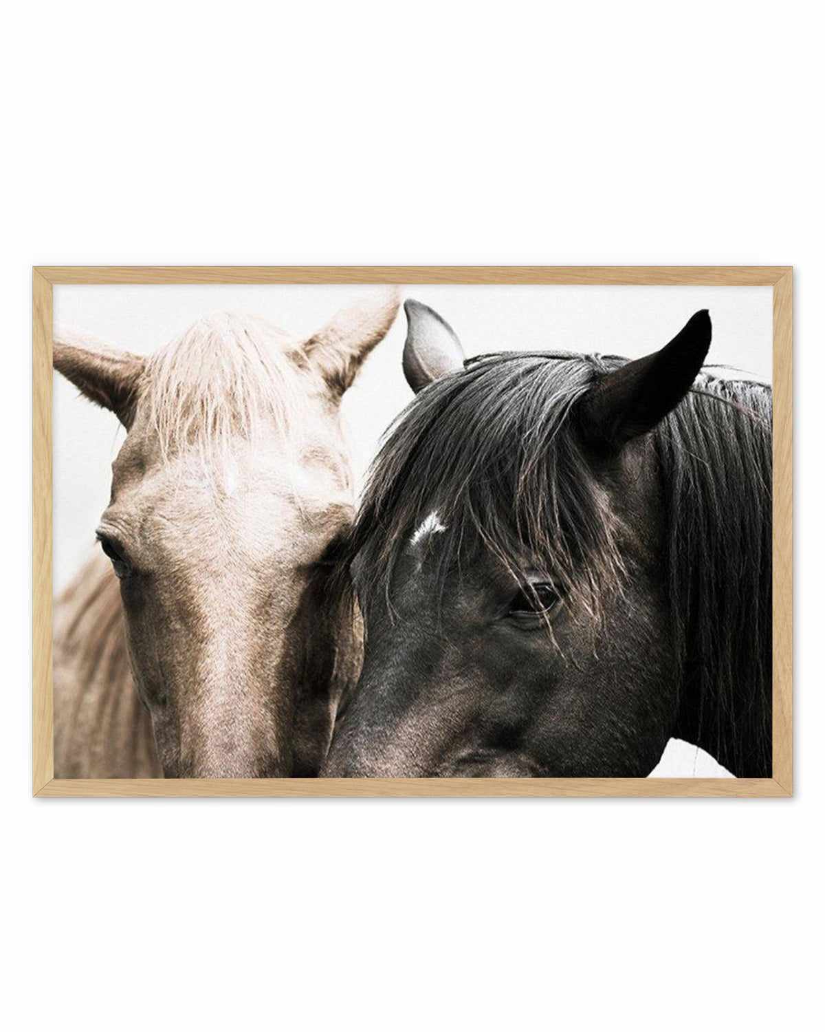 Soulmates | Horses Art Print