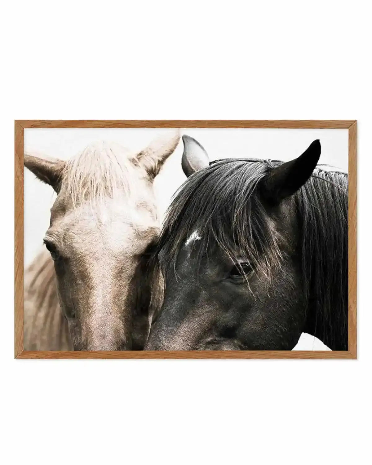 Soulmates | Horses Art Print from Olive et Oriel where you can shop wallpaper and artworks online