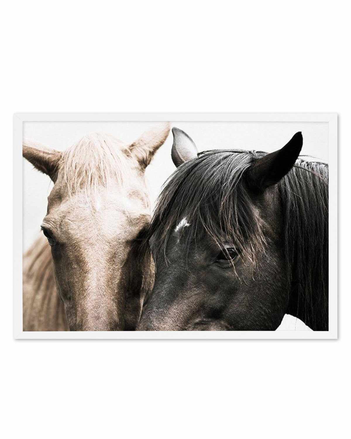 Soulmates | Horses Art Print