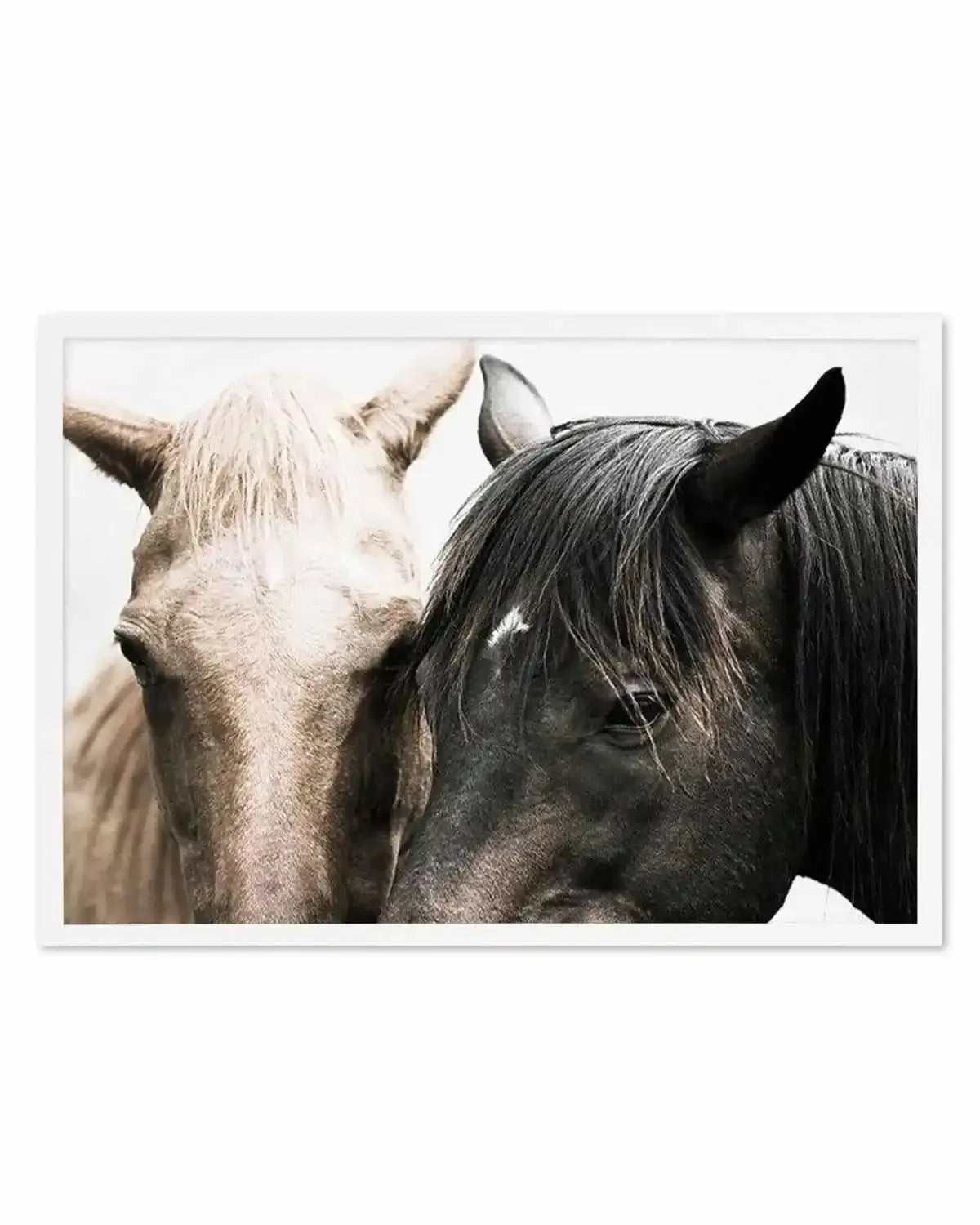 Soulmates | Horses Art Print from Olive et Oriel where you can shop wallpaper and artworks online