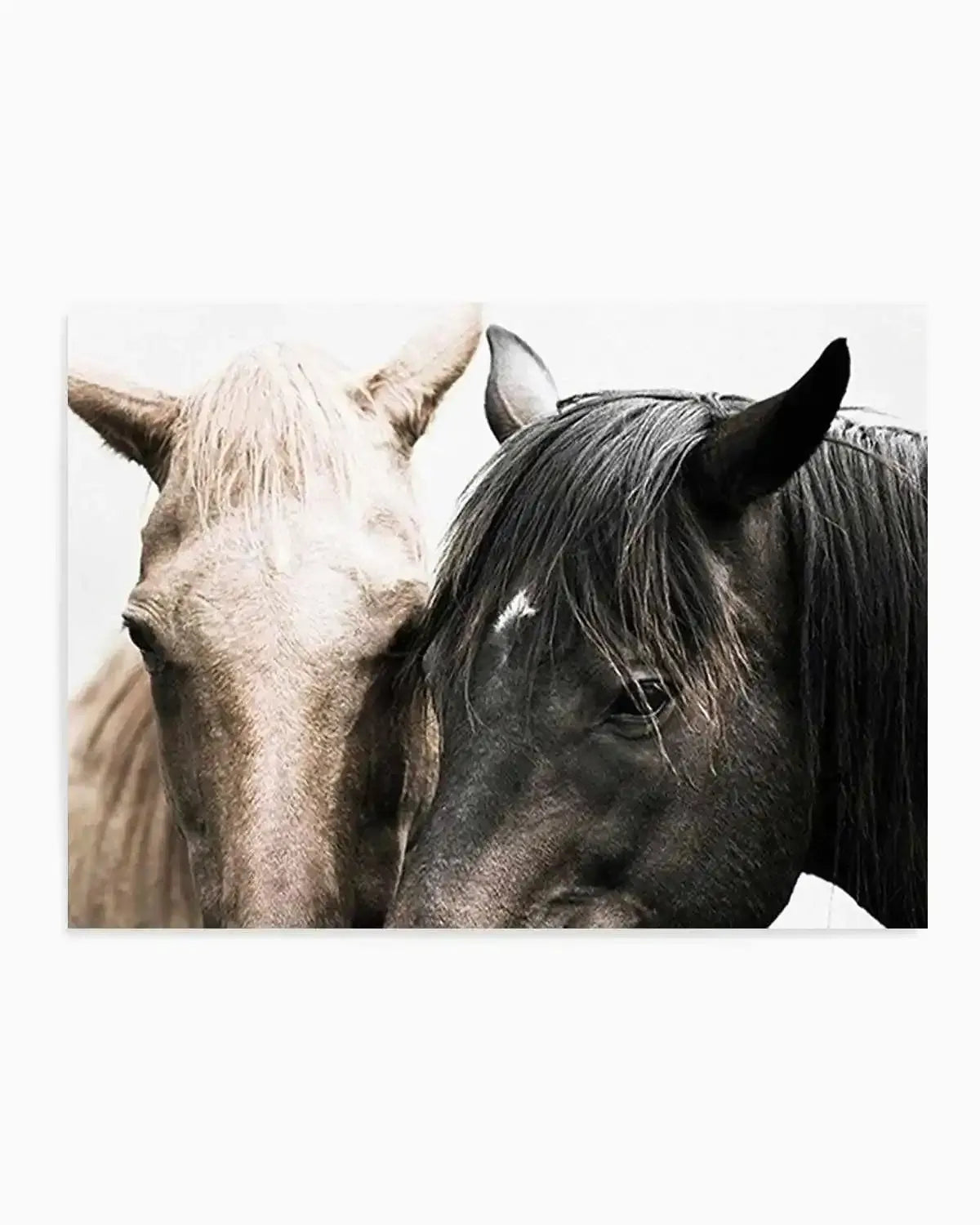 Soulmates | Horses Art Print from Olive et Oriel where you can shop wallpaper and artworks online