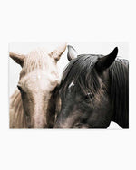 Soulmates | Horses Art Print