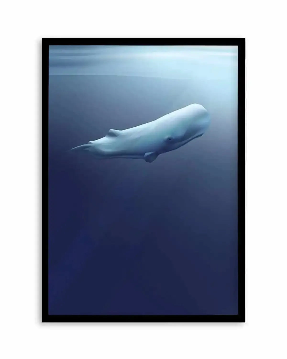 Sperm Whale | Graphic Whales Collection Art Print from Olive et Oriel where you can shop wallpaper and artworks online